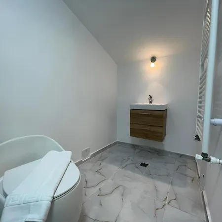 Piata Uniri Cozy بيت ريفي